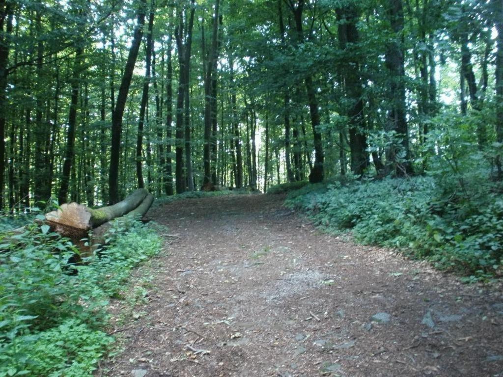 Ferienwohnung Irmgard Und Ferienwohnung Gerlinde Waldbrunn (Baden-Wurttemberg) Exterior foto