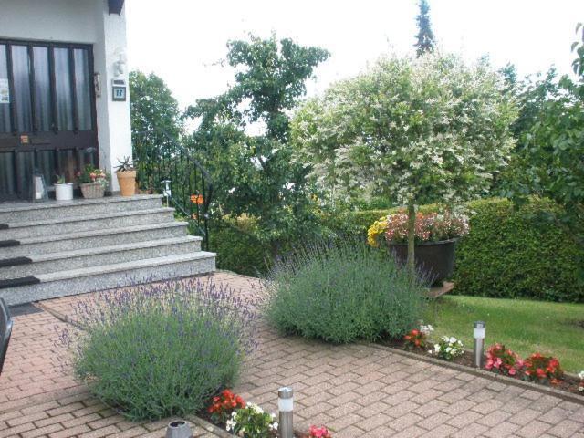 Ferienwohnung Irmgard Und Ferienwohnung Gerlinde Waldbrunn (Baden-Wurttemberg) Exterior foto